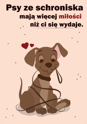 Zuzanna Delmanowska - Dobro dla psów ze schroniska